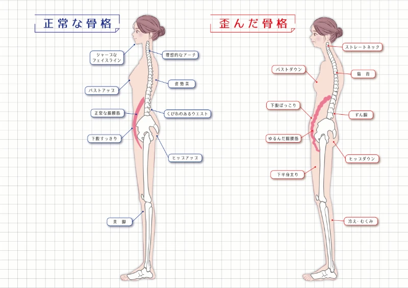 理想的な立ち姿勢とは