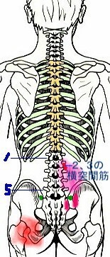 原因